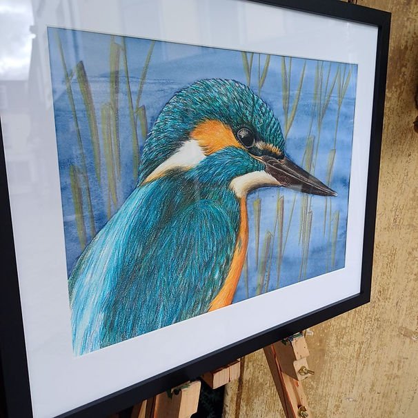 'Kingfisher', Luminance pencil and watercolour.