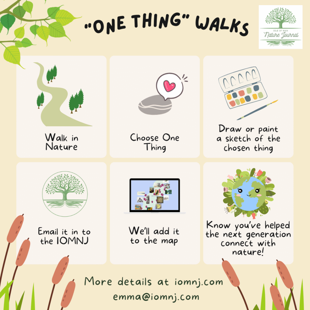 Graphic detailing the stages of the One Thing Walks Challenge. Walk in Nature, Choose One Thing, Draw or Paint a Sketch, Email to IOMNJ.com