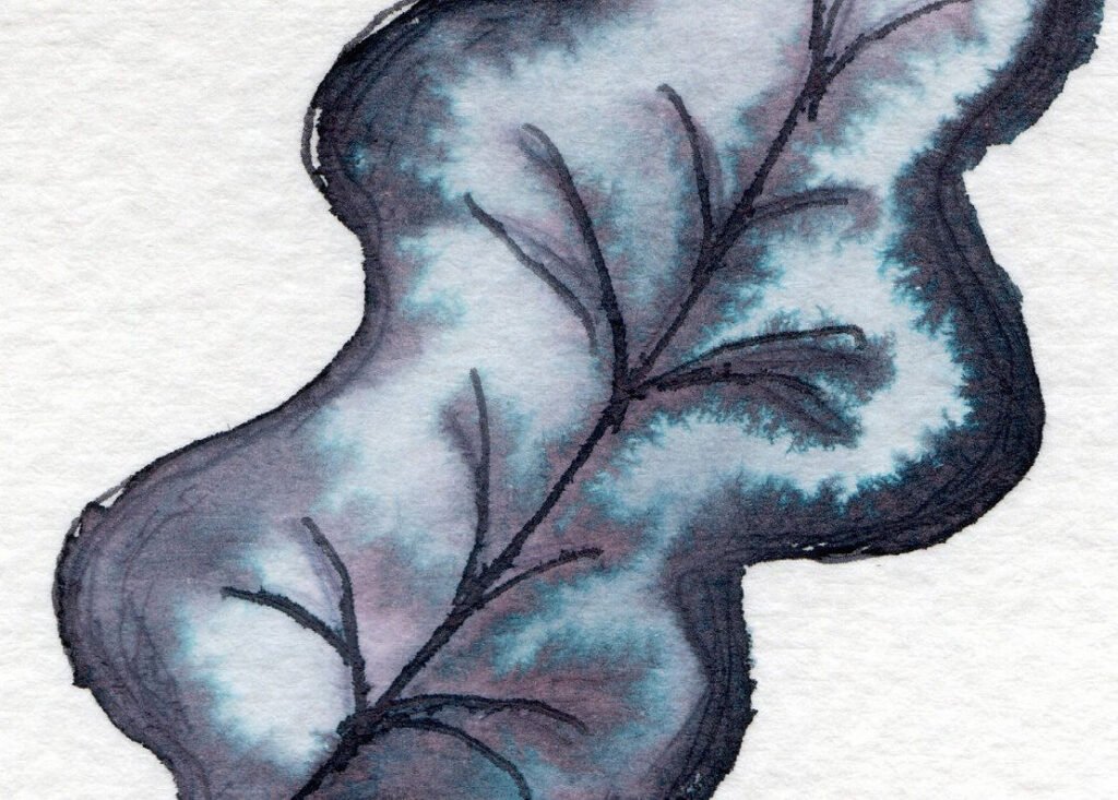 Close-up of an ink sketch of a leaf. The ink is grey and splits into blue and pink.