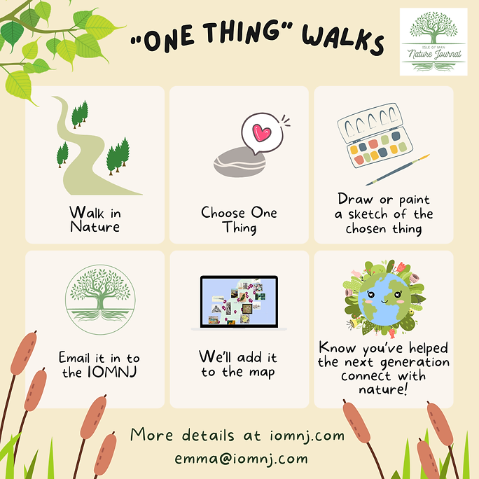Illustrated guide titled One Thing Walks with steps: Walk in Nature, Choose One Thing, Draw it, Email it, We'll add it to the map. Contact info included.