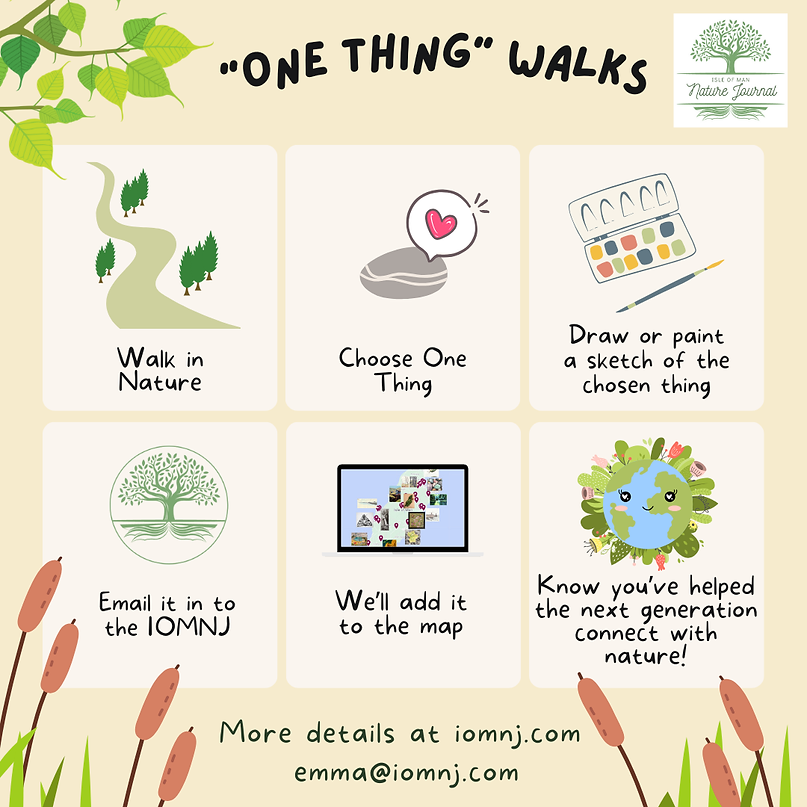 Ad for 'One thing walks'