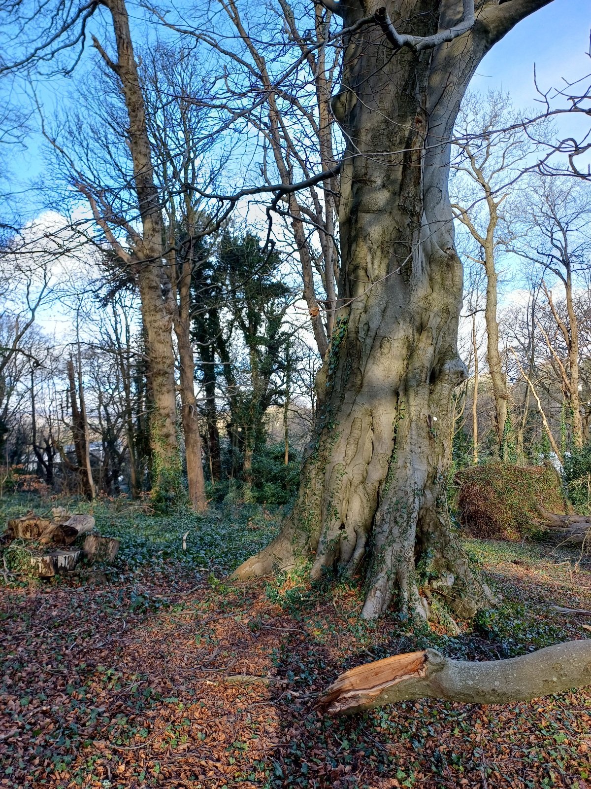 The Nunnery Estate