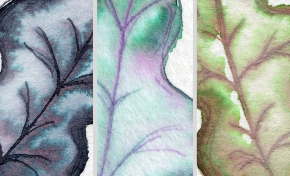 The Wonders of Ink and Water