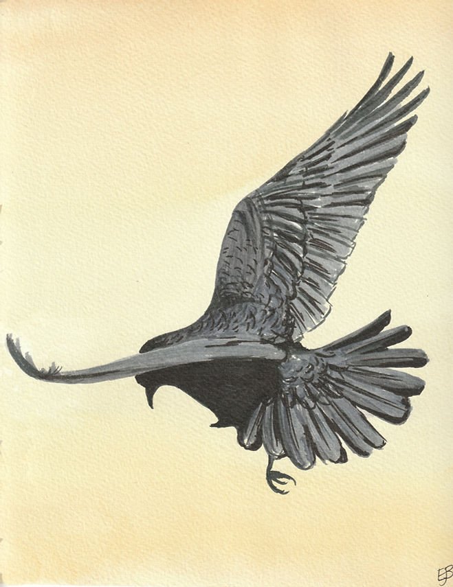 Corvid Celebration