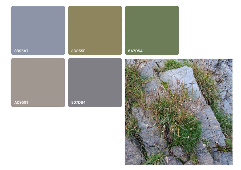 Colour palette of five colours next to an image of rocks on a beach with green plants growing on them. The colours represent some of the colours from the photo.