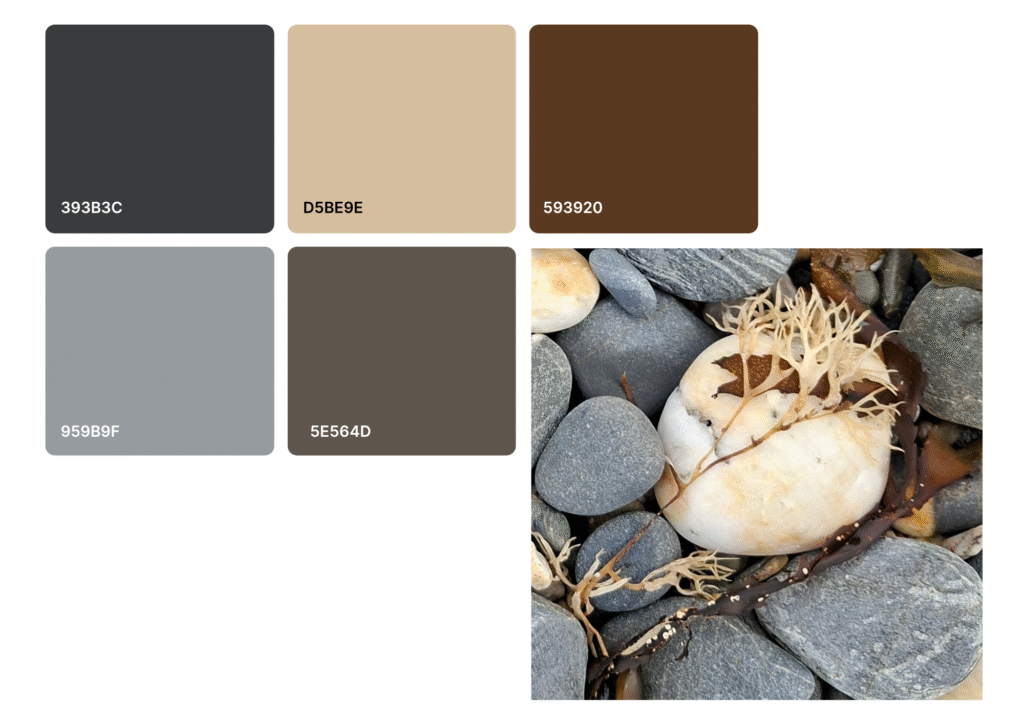 Colour palette of five colours next to an image of pebbles and seaweed on a beach. The colours represent some of the colours from the photo.
