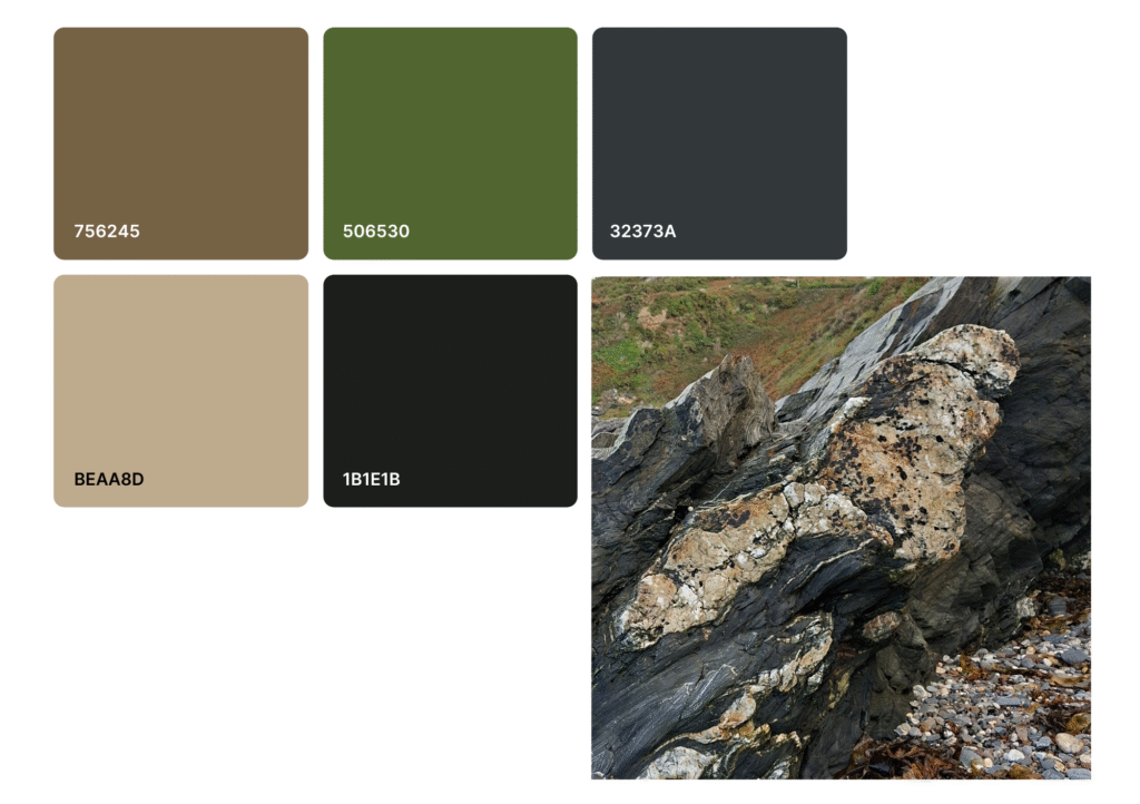 Colour palette of five colours next to an image of rocks on a beach. The colours represent some of the colours from the photo.