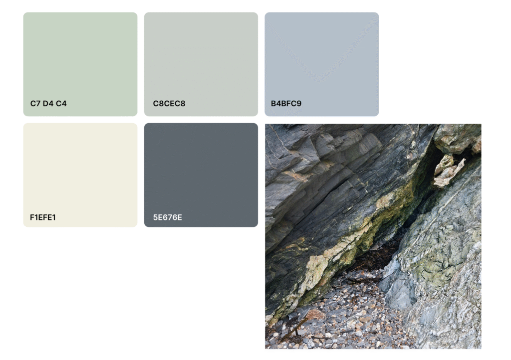 Colour palette of five colours next to an image of rocks on a beach. The colours represent some of the colours from the photo.