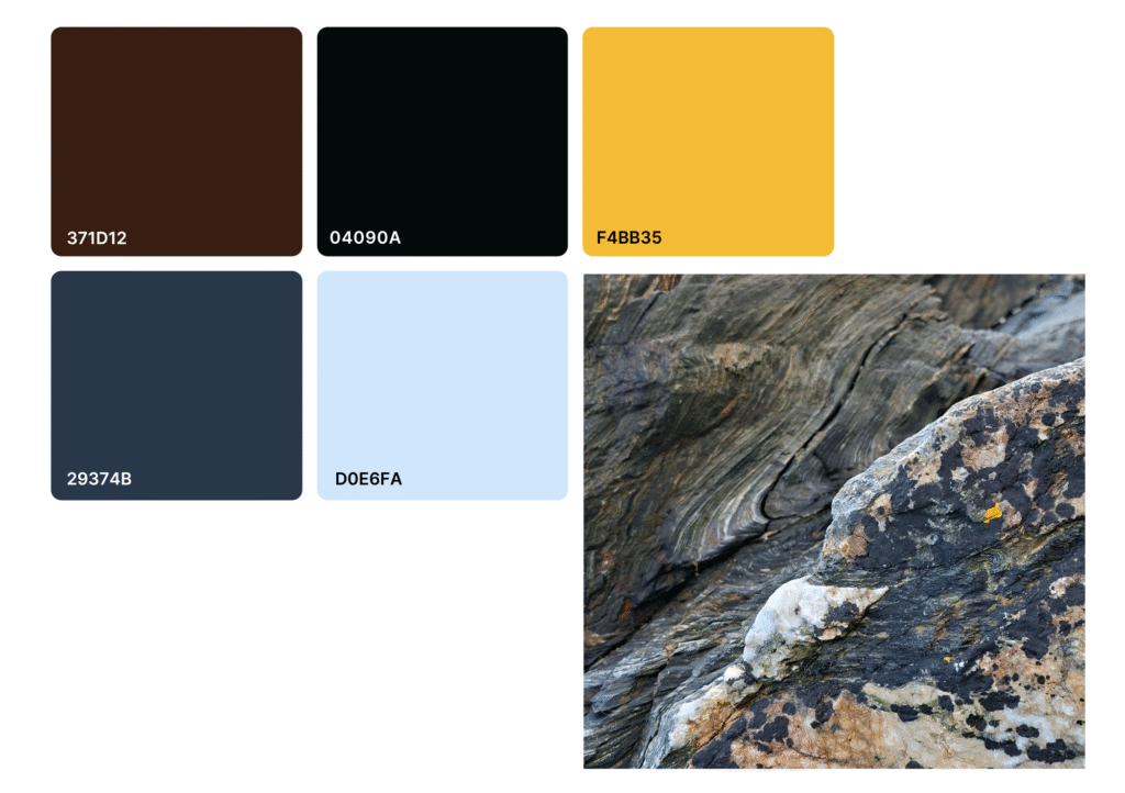 Colour palette of five colours next to an image of rocks and lichen on a beach. The colours represent some of the colours from the photo.
