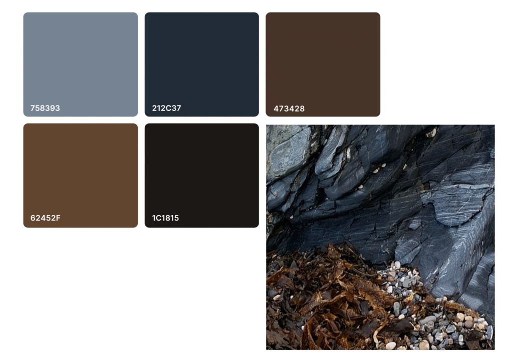 Colour palette of five colours next to an image of rocks and seaweed on a beach. The colours represent some of the colours from the photo.