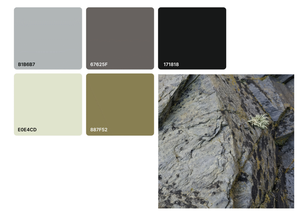 Colour palette of five colours next to an image of rocks covered with lichen on a beach. The colours represent some of the colours from the photo.