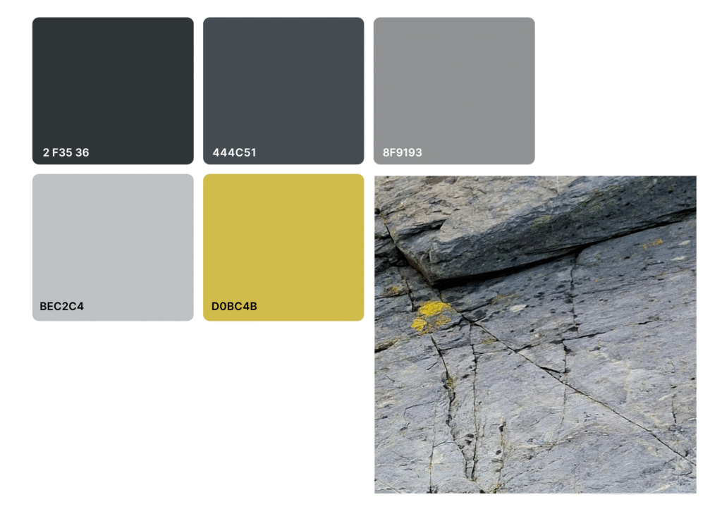 Colour palette of five colours next to an image of rocks with some lichen on them on a beach. The colours represent some of the colours from the photo.