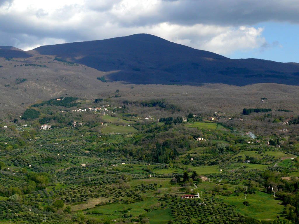 Photo of a dark hill beyond green vineyards and fields.