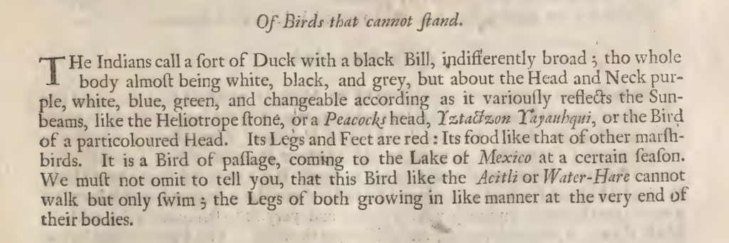 Exerpt from Ray's ornithology.