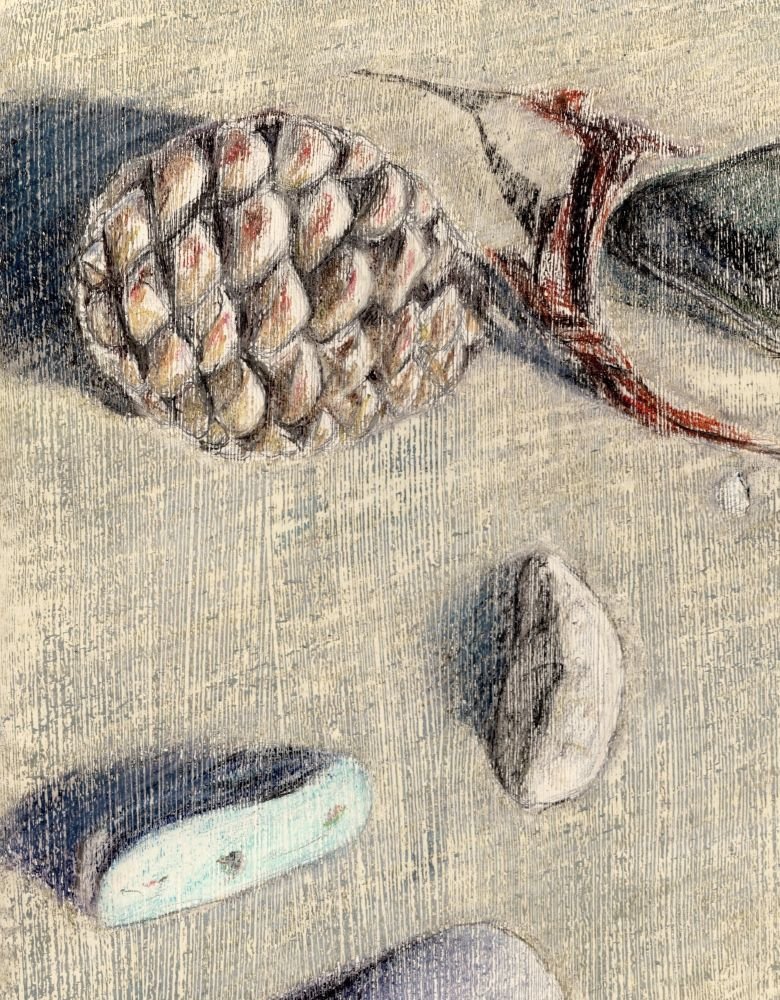 'Pine Cone on Beach' by Emma Butler - a rough-textured coloured pencil drawing on acrylic paint surface.