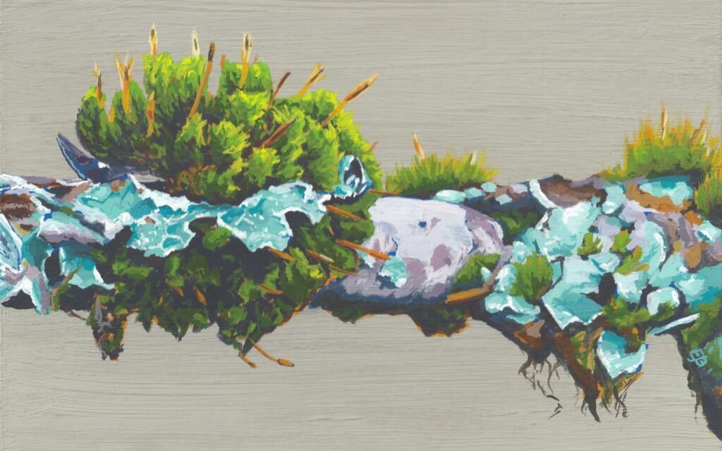 A painting of moss and lichen on a twig. The colours are vivid and accentuated.