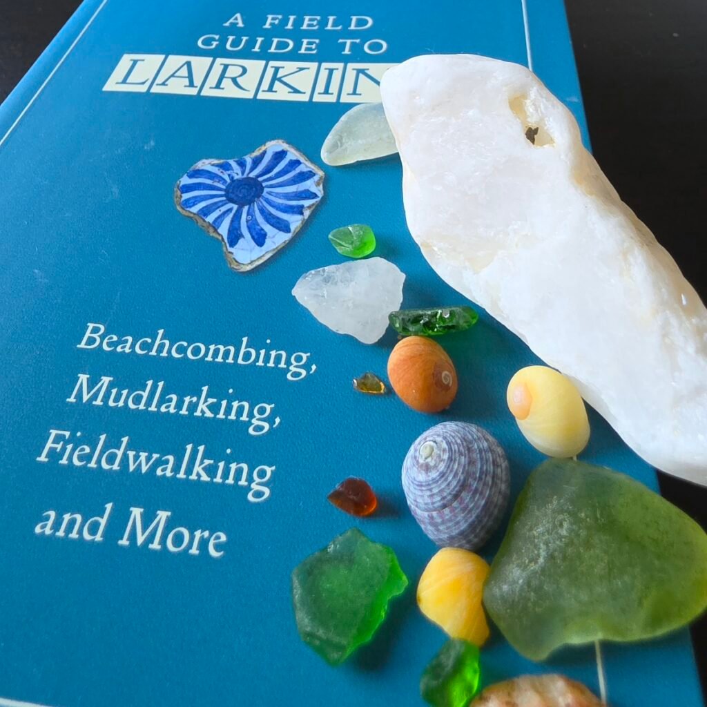 A blue-covered book with small shells, pebbles and seaglass on the front cover.