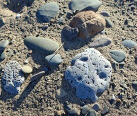 Blue Point Beach Pebbles, including some with much pitting, on a sandy beach.